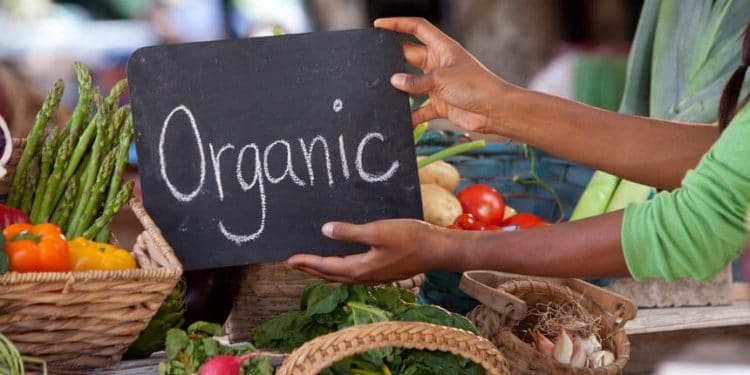 North African farmers paving the way in organic production
