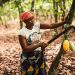 Ghanaian college unveils a machine to help cocoa farmers