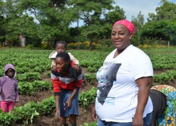 Feeding the locals and the world with fresh strawberries