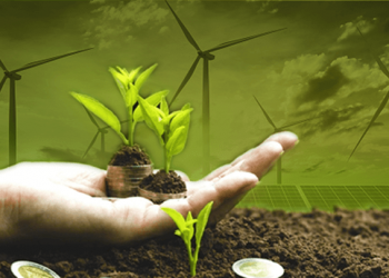 Emerging markets - African green investment ensures highest returns