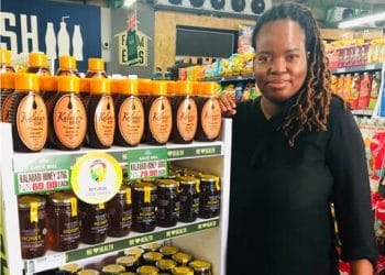 Africa’s green entrepreneurs prove their mettle