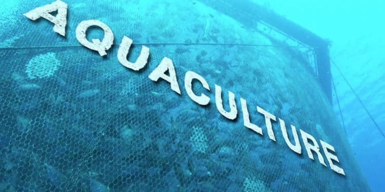 Enhancing sensitive and sustainable development of aquaculture 18 Enhancing sensitive and sustainable development of aquaculture