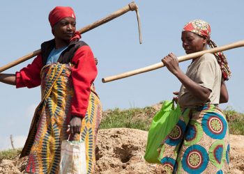 Breaking the cycle of poverty: Empowering vulnerable women in an informal settlement with food cultivation skills
