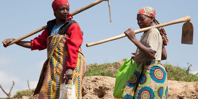 Breaking the cycle of poverty: Empowering vulnerable women in an informal settlement with food cultivation skills