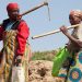 Breaking the cycle of poverty: Empowering vulnerable women in an informal settlement with food cultivation skills