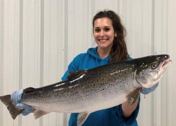 Study shows “shocking” marine ecosystem changes