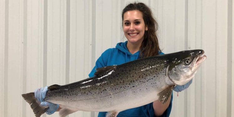 Study shows “shocking” marine ecosystem changes 18 Study shows “shocking” marine ecosystem changes