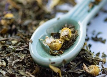 New Rooibos phytosome to be developed for cosmetic application