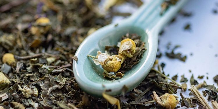 New Rooibos phytosome to be developed for cosmetic application