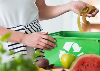 “Earth Cycler” leader in organic waste management