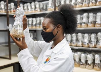 Postdoctoral fellow - Dr Agil Katumanyane