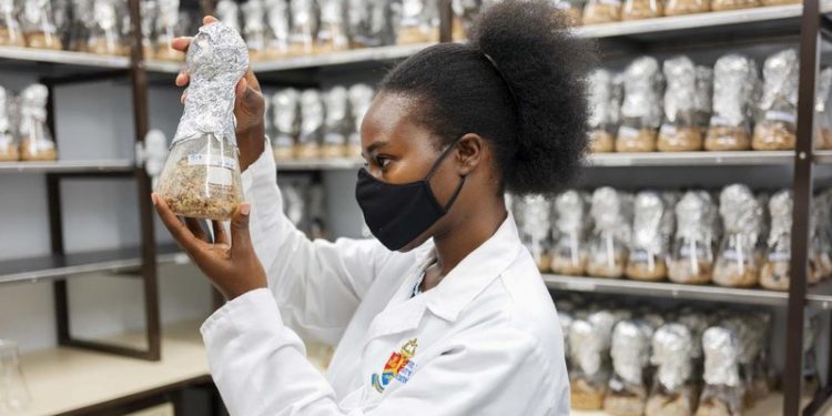 Postdoctoral fellow - Dr Agil Katumanyane