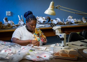 Calling for more youth’s involvement in STEMi to tackle the country’s challenges 20 Calling for more youth’s involvement in STEMi to tackle the country’s challenges