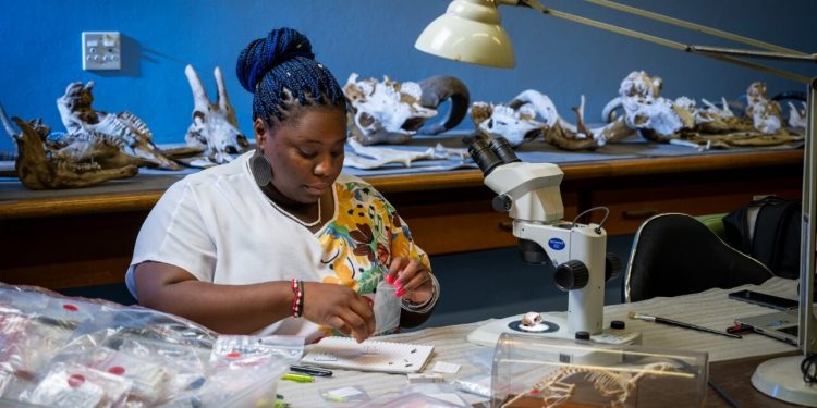 Calling for more youth’s involvement in STEMi to tackle the country’s challenges