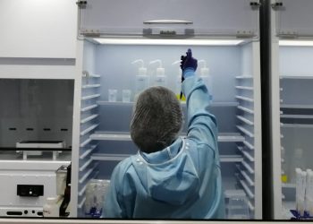 Boosting tourism through South Africa’s paleontological richness