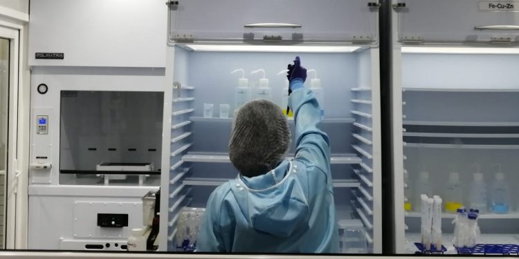 Boosting tourism through South Africa’s paleontological richness