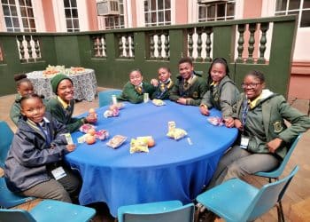 Young scientists showcase research at Ekurhuleni regional expo 