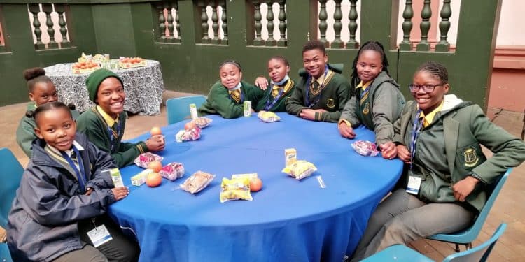 Young scientists showcase research at Ekurhuleni regional expo 
