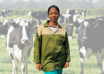 Fulfilling a childhood dream of becoming a livestock farmer