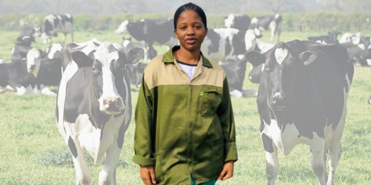 Fulfilling a childhood dream of becoming a livestock farmer 18 Fulfilling a childhood dream of becoming a livestock farmer