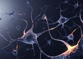 Research Identifies Neurons behind Feeling Sick