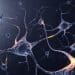 Research Identifies Neurons behind Feeling Sick