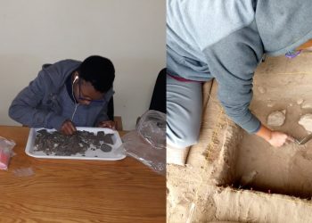 Shedding light into Stone Age landscape patterns and human settlement habits