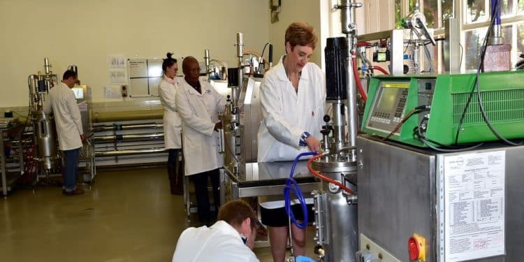 SA’s first Industrial Biocatalysis Hub drives uptake of green production methods in chemical industry manufacturing processes