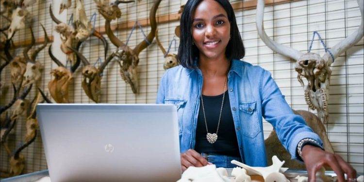Using fossil faunal remains of yester years to reconstruct past environments