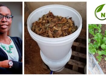 Championing Sustainability in Cultivation to Preserve the Environment