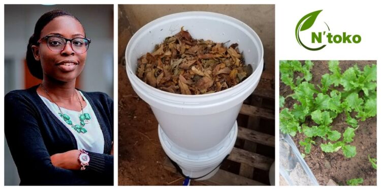 Championing Sustainability in Cultivation to Preserve the Environment