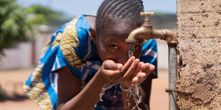 Promoting the use of biological waste products to protect SA’s water systems