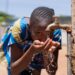 Promoting the use of biological waste products to protect SA’s water systems