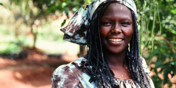 Honoring African Women Environmentalists on International Women’s Day