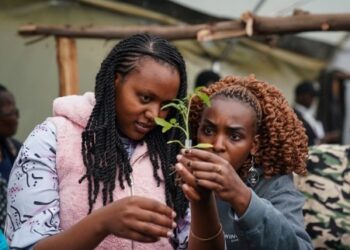 China-Africa scientific cooperation gaining traction in pursuit of shared prosperity