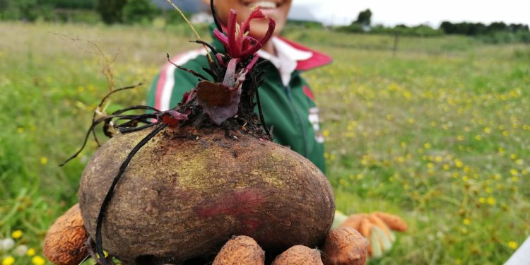 Navigating the climate change - food system crisis for under-resourced communities