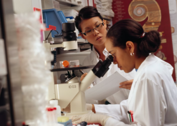 Women in Neuroscience